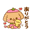 いちご♡トイプードル（個別スタンプ：4）