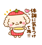 いちご♡トイプードル（個別スタンプ：19）