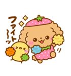 いちご♡トイプードル（個別スタンプ：23）