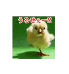 激しく動く！うざいヒヨコ！（個別スタンプ：5）