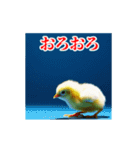 激しく動く！うざいヒヨコ！（個別スタンプ：21）