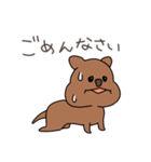 日常会話ワラビー（個別スタンプ：6）