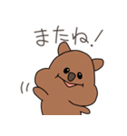 日常会話ワラビー（個別スタンプ：14）
