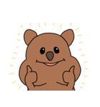 日常会話ワラビー（個別スタンプ：16）
