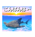 ジンベイザメ大好き！沖縄行きたい！（個別スタンプ：3）