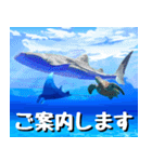 ジンベイザメ大好き！沖縄行きたい！（個別スタンプ：10）