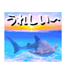 ジンベイザメ大好き！沖縄行きたい！（個別スタンプ：19）