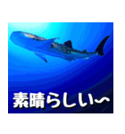 ジンベイザメ大好き！沖縄行きたい！（個別スタンプ：20）