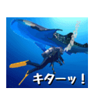 ジンベイザメ大好き！沖縄行きたい！（個別スタンプ：22）