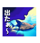 ジンベイザメ大好き！沖縄行きたい！（個別スタンプ：23）