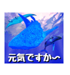 ジンベイザメ大好き！沖縄行きたい！（個別スタンプ：24）