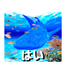 ジンベイザメ大好き！沖縄行きたい！（個別スタンプ：29）