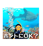 ジンベイザメ大好き！沖縄行きたい！（個別スタンプ：33）