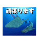 ジンベイザメ大好き！沖縄行きたい！（個別スタンプ：37）