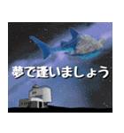 ジンベイザメ大好き！沖縄行きたい！（個別スタンプ：40）