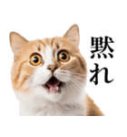 感情が顔に出てしまう猫2（個別スタンプ：1）