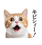 感情が顔に出てしまう猫2（個別スタンプ：4）