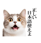 感情が顔に出てしまう猫2（個別スタンプ：6）