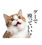 感情が顔に出てしまう猫2（個別スタンプ：7）