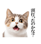 感情が顔に出てしまう猫2（個別スタンプ：10）