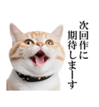 感情が顔に出てしまう猫2（個別スタンプ：11）
