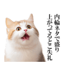 感情が顔に出てしまう猫2（個別スタンプ：12）