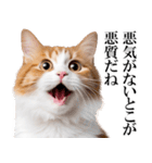 感情が顔に出てしまう猫2（個別スタンプ：13）