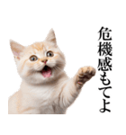 感情が顔に出てしまう猫2（個別スタンプ：14）