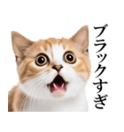感情が顔に出てしまう猫2（個別スタンプ：16）