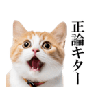 感情が顔に出てしまう猫2（個別スタンプ：17）