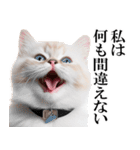 感情が顔に出てしまう猫2（個別スタンプ：19）