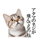 感情が顔に出てしまう猫2（個別スタンプ：20）