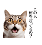 感情が顔に出てしまう猫2（個別スタンプ：22）