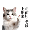 感情が顔に出てしまう猫2（個別スタンプ：23）