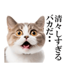 感情が顔に出てしまう猫2（個別スタンプ：24）