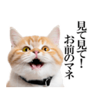 感情が顔に出てしまう猫2（個別スタンプ：26）