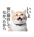 感情が顔に出てしまう猫2（個別スタンプ：27）