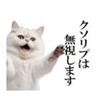 感情が顔に出てしまう猫2（個別スタンプ：33）