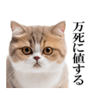 感情が顔に出てしまう猫2（個別スタンプ：34）