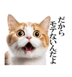 感情が顔に出てしまう猫2（個別スタンプ：35）