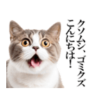 感情が顔に出てしまう猫2（個別スタンプ：36）