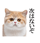 感情が顔に出てしまう猫2（個別スタンプ：39）