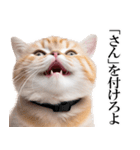 感情が顔に出てしまう猫2（個別スタンプ：40）
