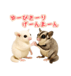 フクロモモンガの天真爛漫（個別スタンプ：6）