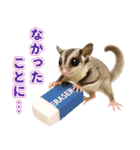 フクロモモンガの天真爛漫（個別スタンプ：7）