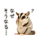 フクロモモンガの天真爛漫（個別スタンプ：18）