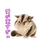フクロモモンガの天真爛漫（個別スタンプ：20）
