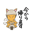 きつねのチキ（日常1）（個別スタンプ：37）