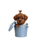 かわいい茶色の子犬 (NT)（個別スタンプ：1）