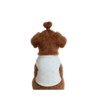かわいい茶色の子犬 (NT)（個別スタンプ：3）